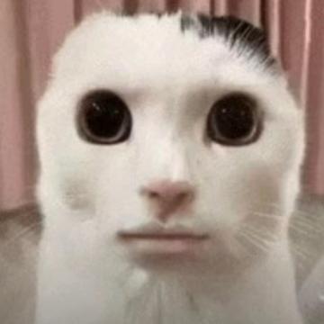 Grace Barnard Nunns profile photo