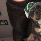 Frank DiGiacomo profile photo