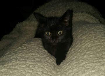 Kathleen Wilson profile photo