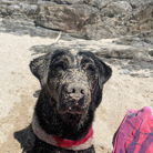 López Alex profile photo