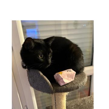 Adèle Barbançon profile photo