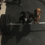 Louise Sutherland profile photo