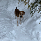 Luke Cardinale profile photo