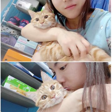 Lingling Zheng profile photo