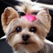 Kumiko-Katie Moore profile photo