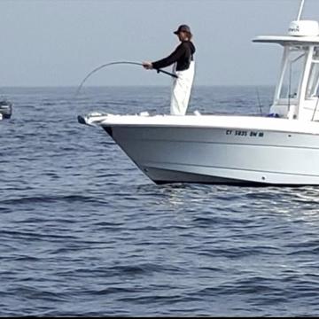 Tate Gilbert profile photo