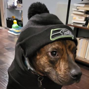 Derrick Tsang profile photo