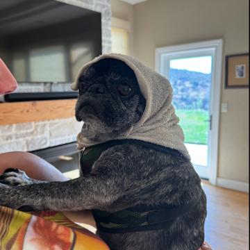 Landon Laporte profile photo