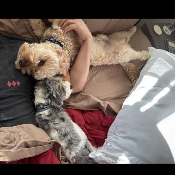 Juan Gorecki profile photo