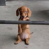 Jonathan Currie profile photo