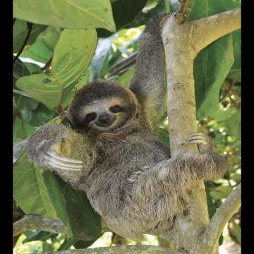 Jarred Matthews profile photo