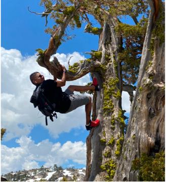 M Lomeli profile photo