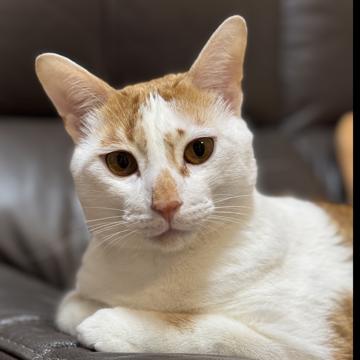 Ida NG profile photo